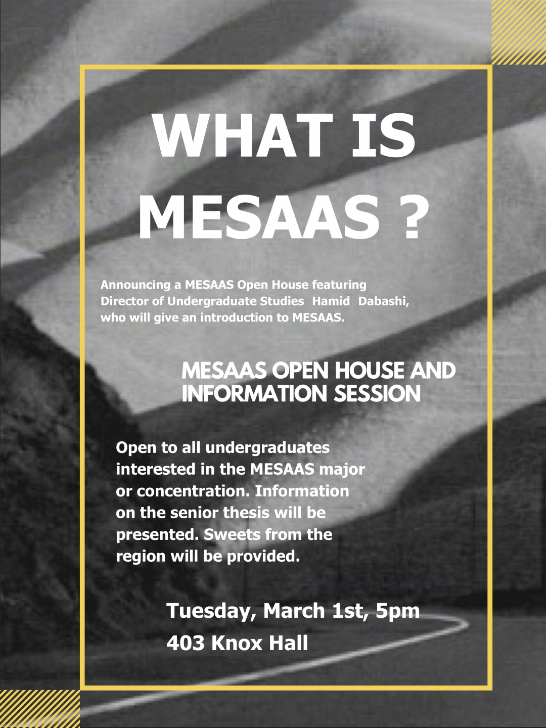 MESAAS Open House flyer